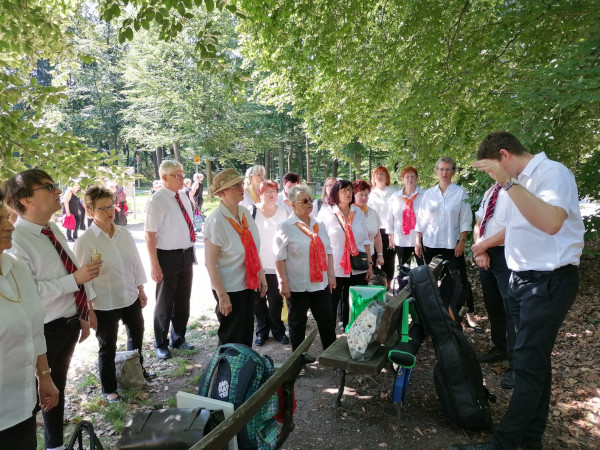 Parksingen