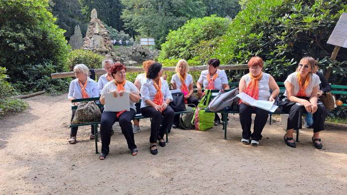 Parksingen