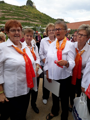 Chorsingen zum Federweißerfest im Schloss Wackerbarth